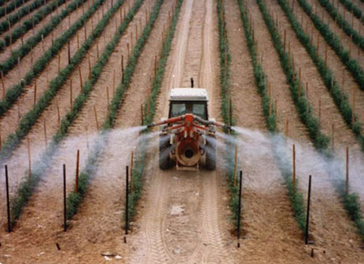 Agricultural spraying - "Miniraz" Two Sides sprayer